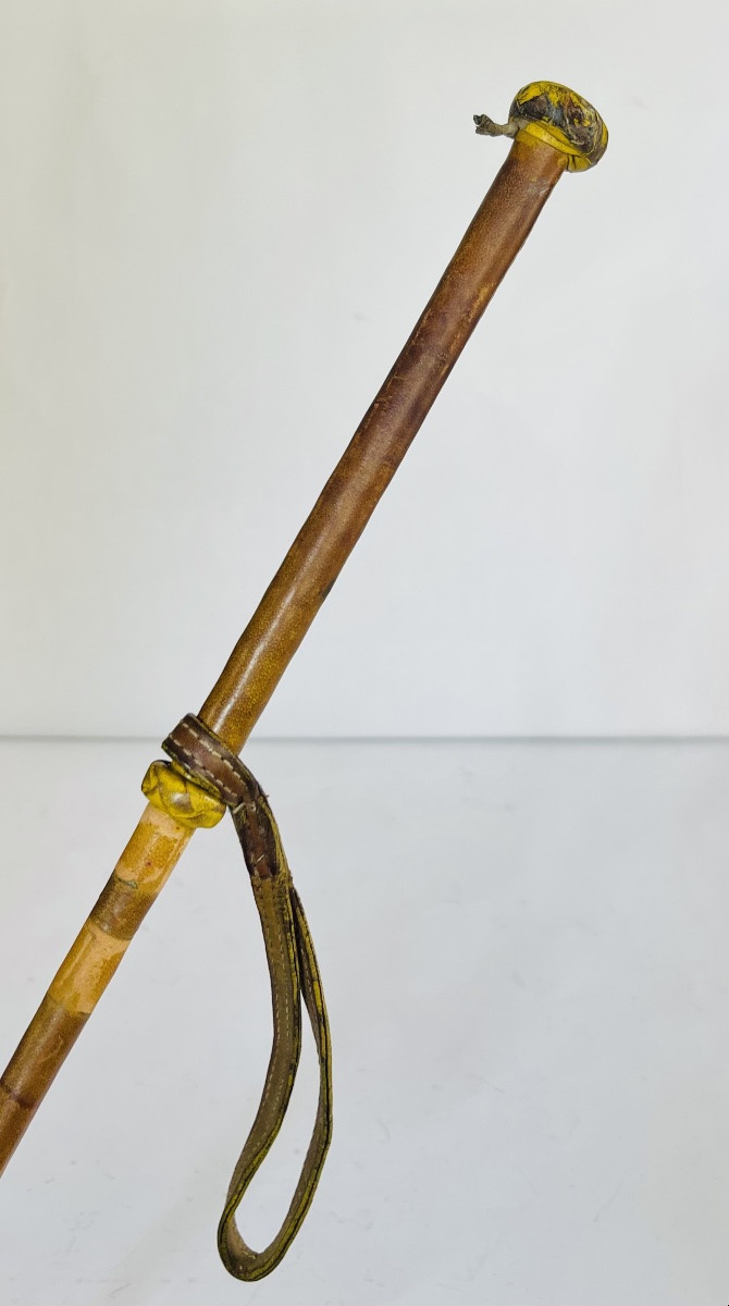 Whip -photo-2